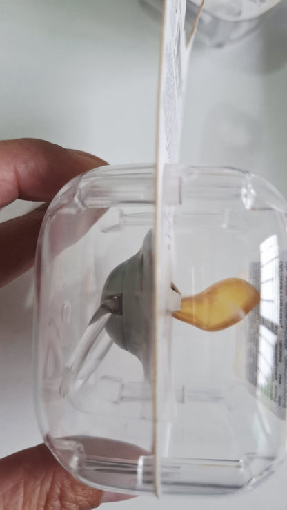 Chupete Suavinex 0 a 6m Latex Anatómico